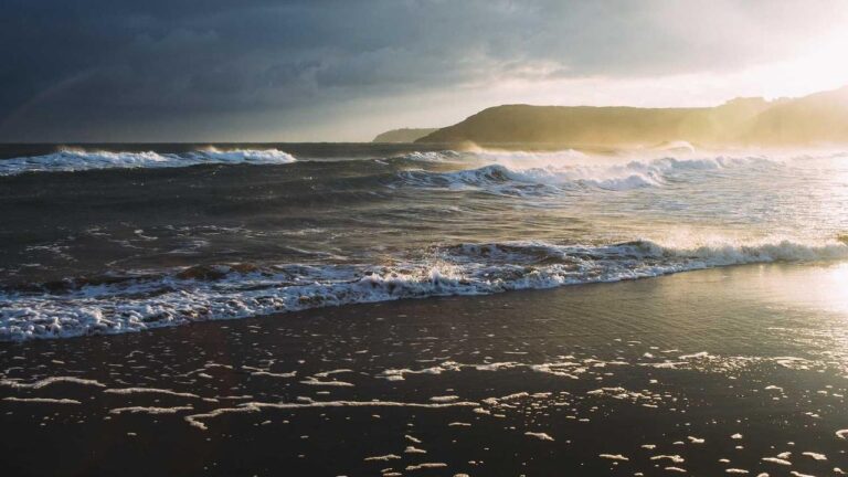 How To Register For 11Xplay Sign-Up Login Password India?